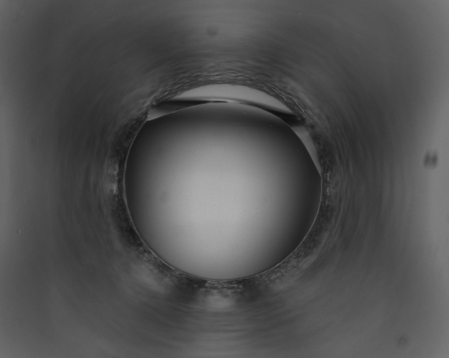 X0000089940368200707131459