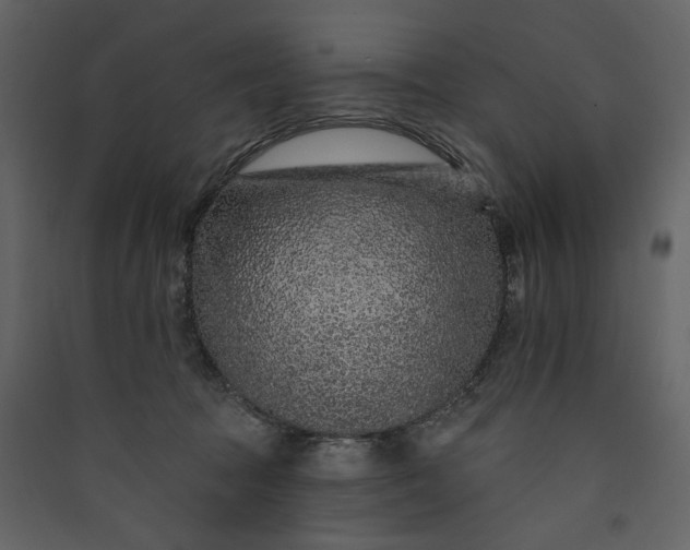 X0000089940369200707131459