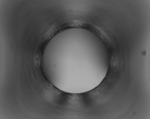 X0000089940370200707131459