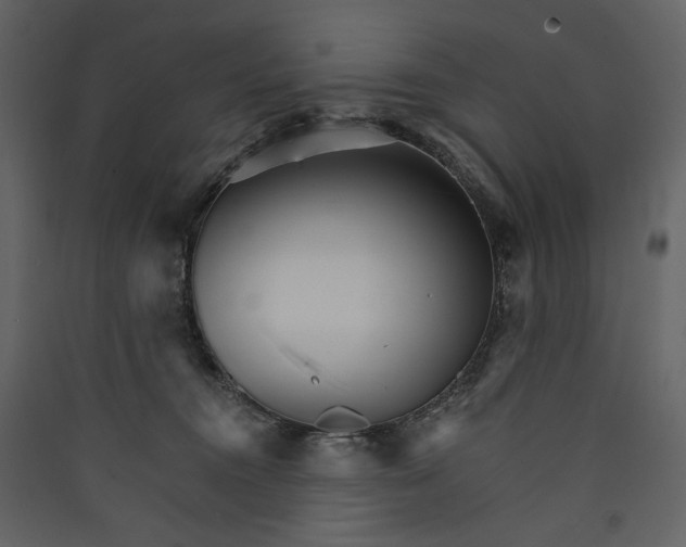 X0000089940372200707131459