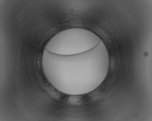 X0000089940373200707131459