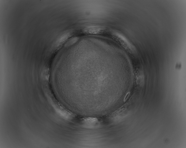 X0000089940374200707131459