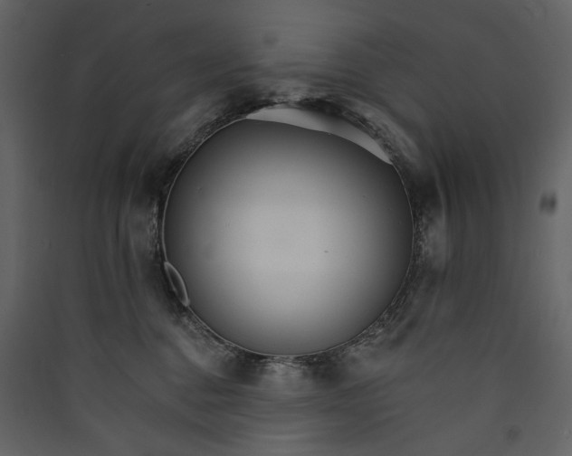 X0000089940376200707131459