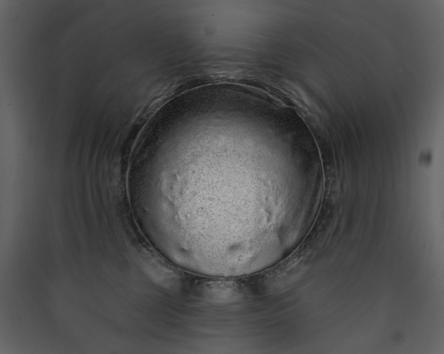 X0000089940377200707131459