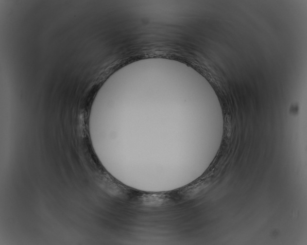 X0000089940378200707131459