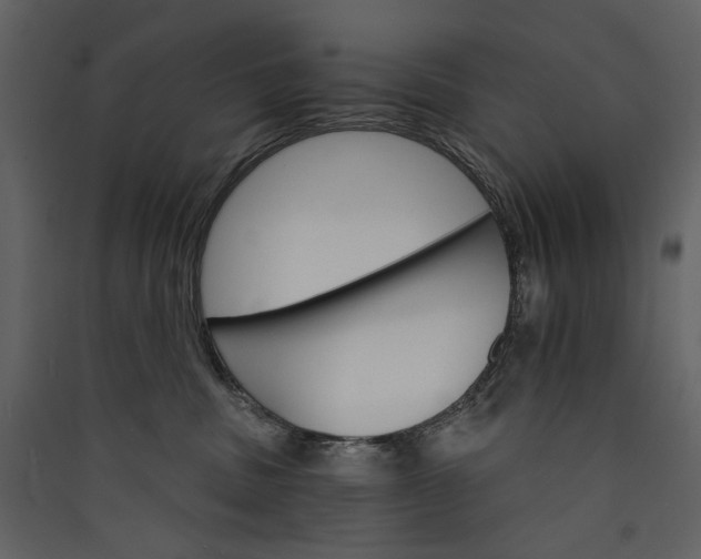 X0000089940379200707131459