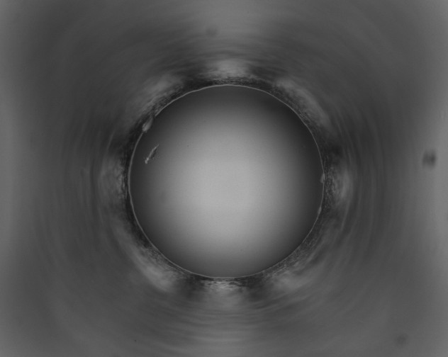 X0000089940380200707131459