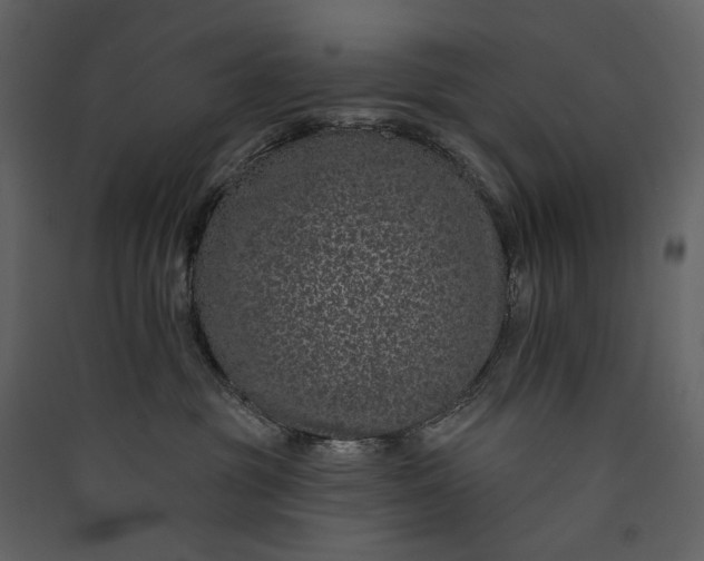 X0000089940381200707131459