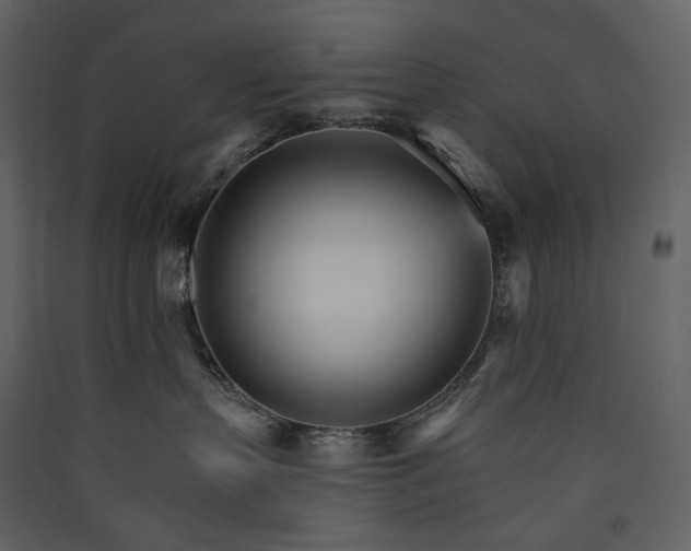 X0000089940383200707131459