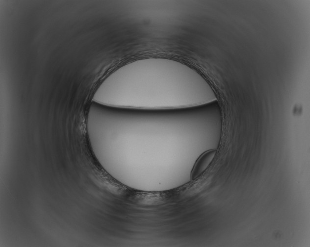 X0000089940384200707131459