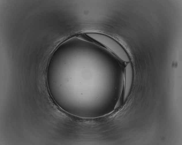 X0000089940385200707131458