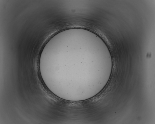 X0000089940386200707131458