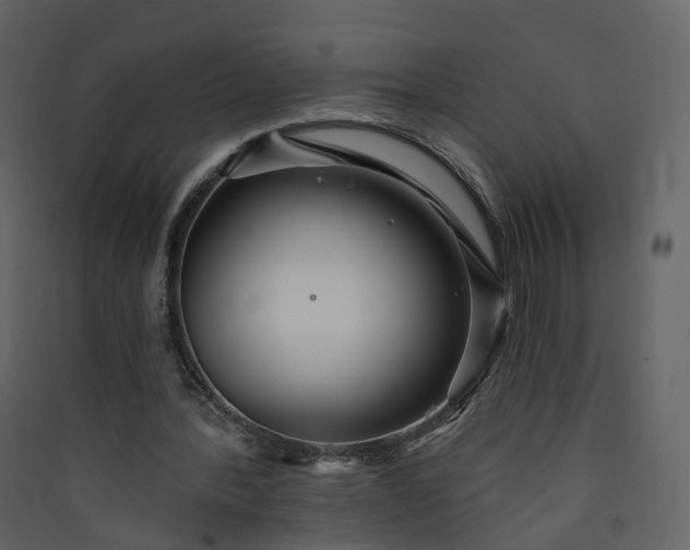 X0000089940388200707131458