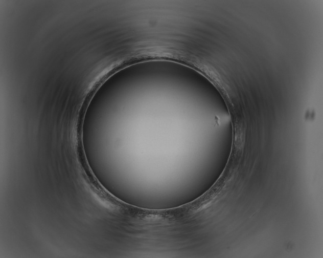 X0000089940390200707131458