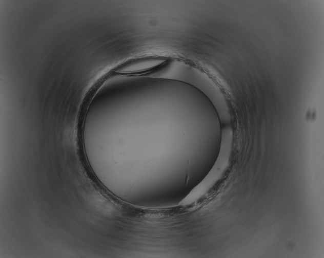 X0000089940391200707131458