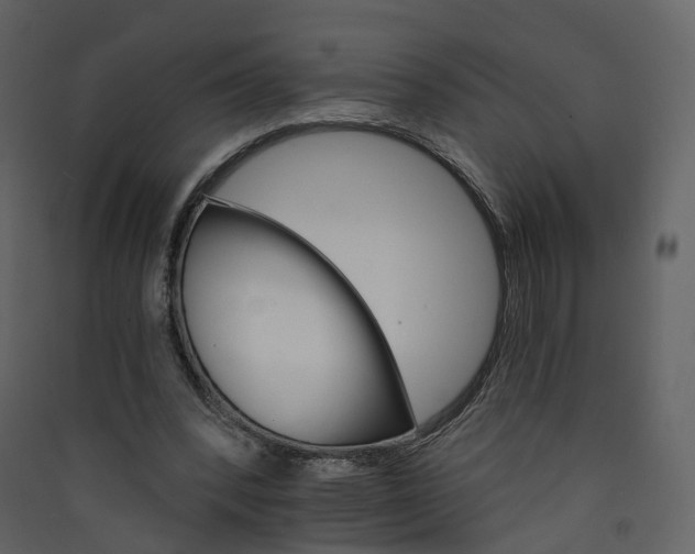 X0000089940392200707131458