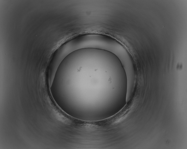 X0000089940393200707131458