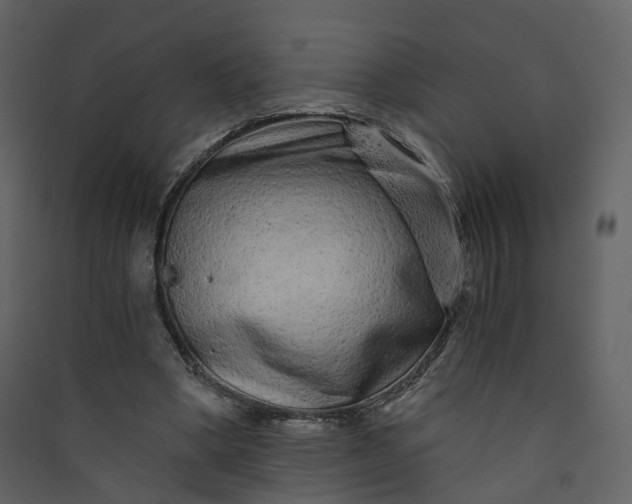 X0000089940394200707131458