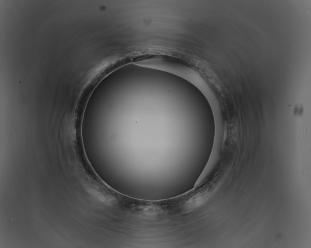 X0000089940395200707131458