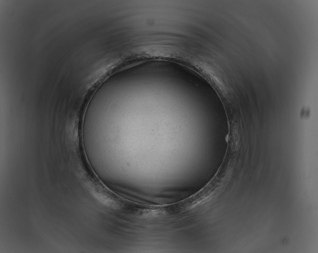 X0000089940398200707131458