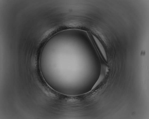 X0000089940400200707131458