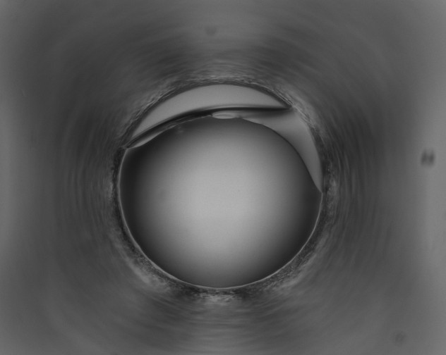 X0000089940401200707131458