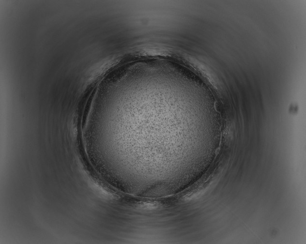 X0000089940402200707131458