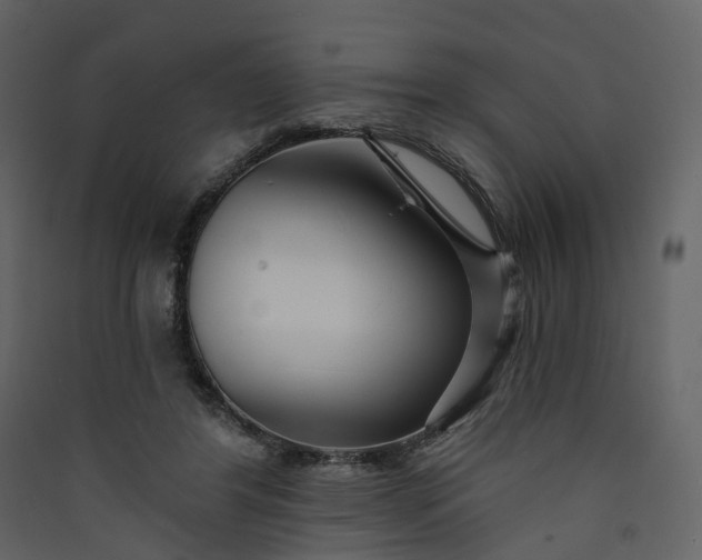 X0000089940404200707131458