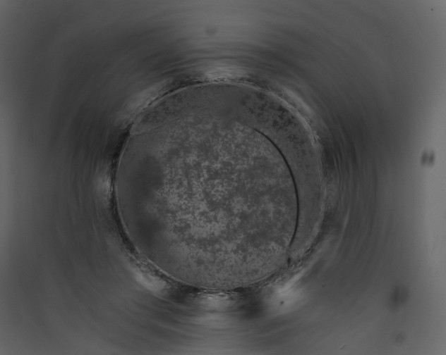 X0000089940405200707131458