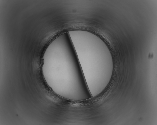 X0000089940407200707131458