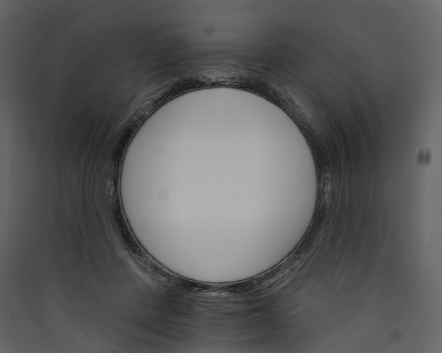 X0000089940408200707131458