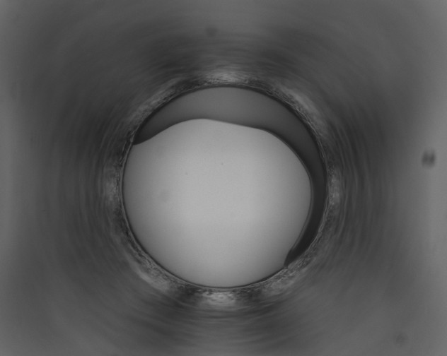 X0000089940409200707131458