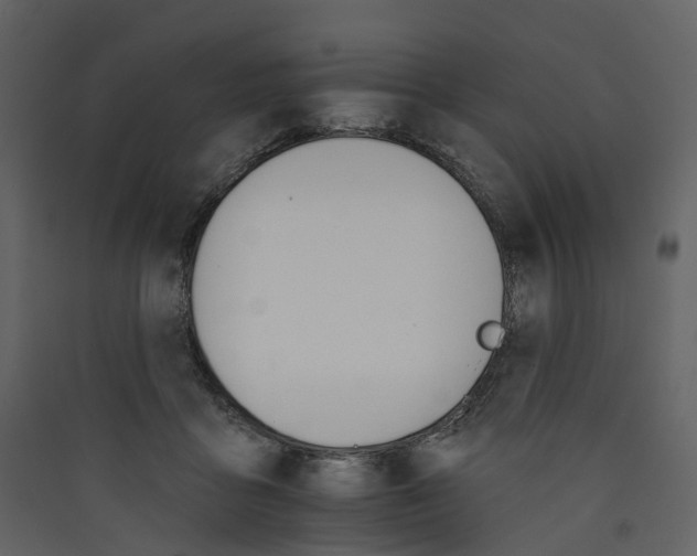 X0000089940411200707131458