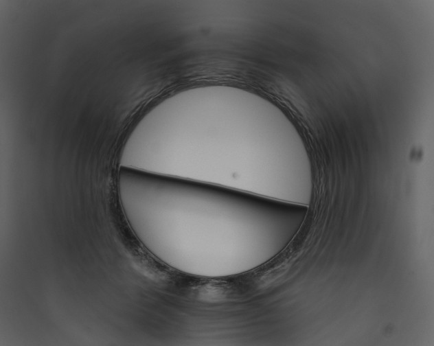 X0000089940412200707131458