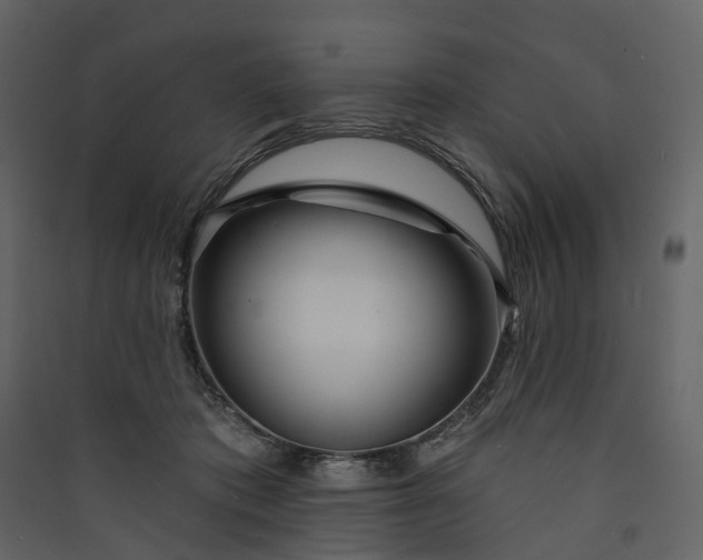 X0000089940413200707131458