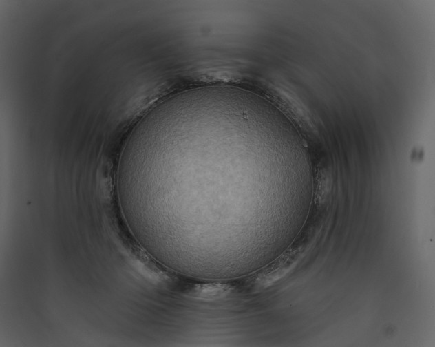 X0000089940414200707131458