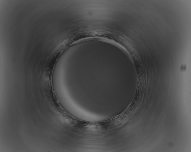 X0000089940415200707131458