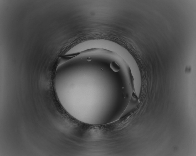 X0000089940416200707131458