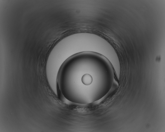 X0000089940417200707131458