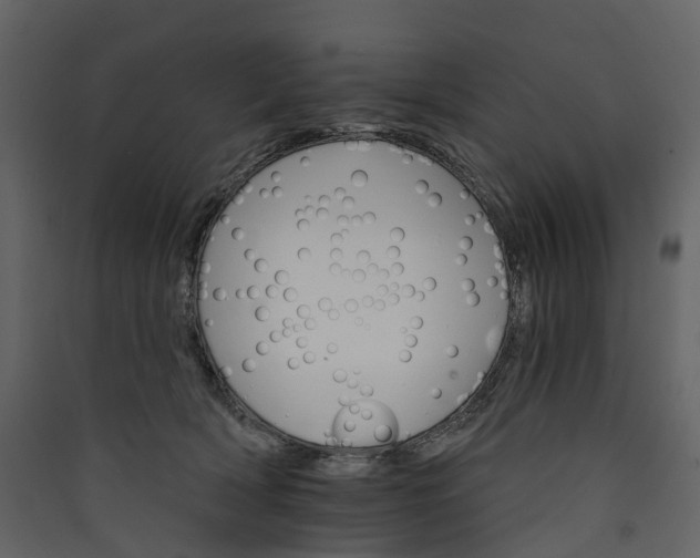 X0000089940418200707131458