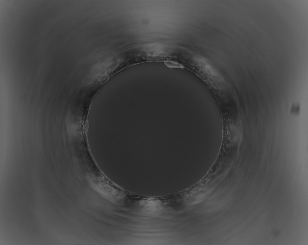 X0000089940419200707131458