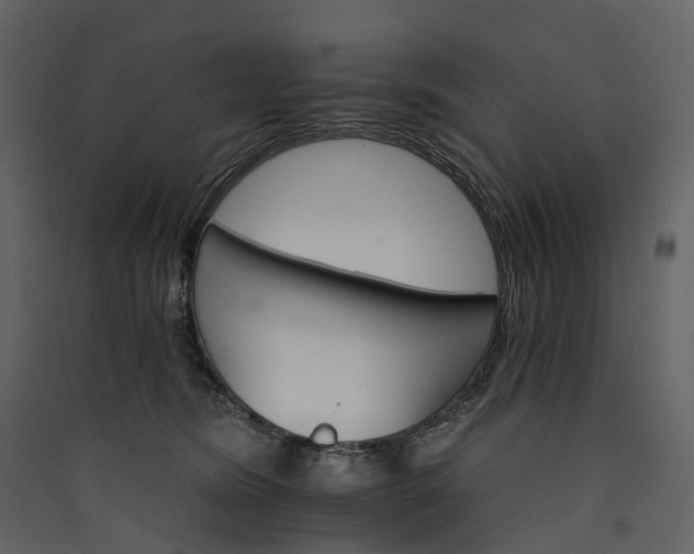 X0000089940420200707131458