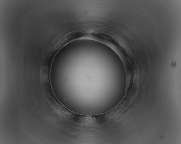 X0000089940421200707131458