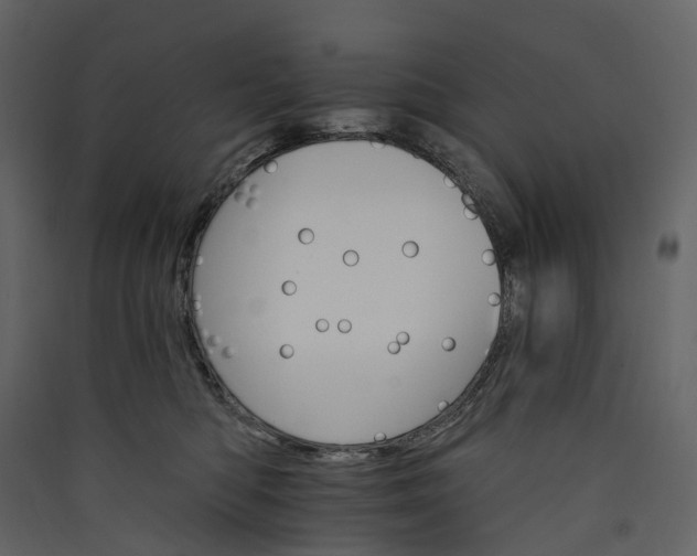 X0000089940422200707131458