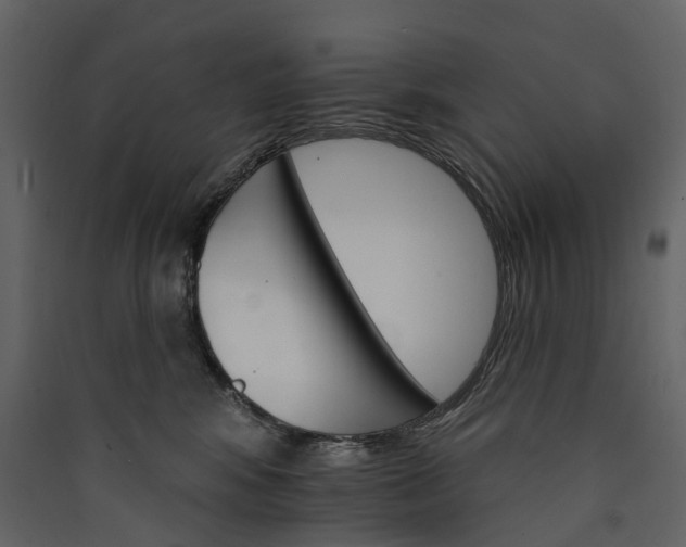 X0000089940424200707131458