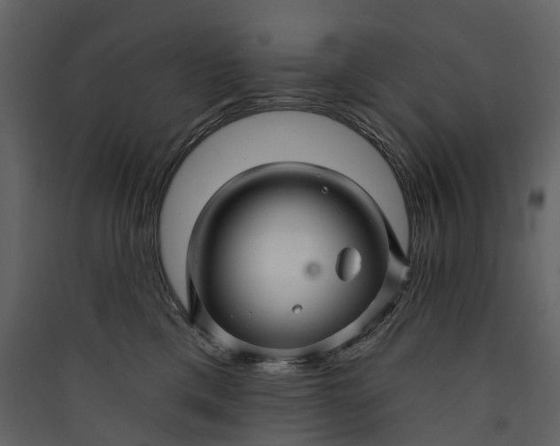 X0000089940425200707131458