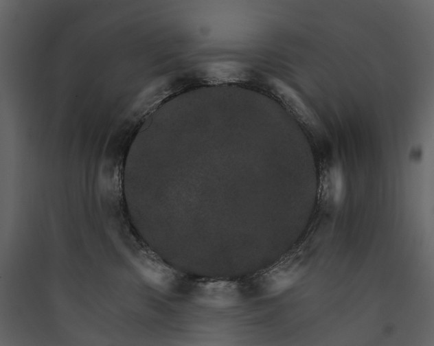 X0000089940426200707131458