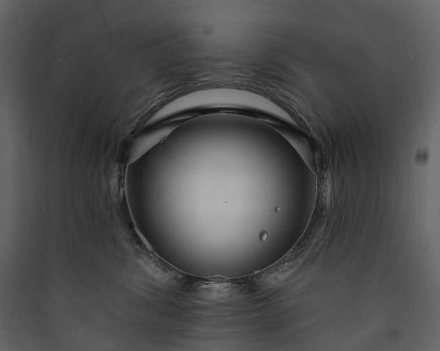 X0000089940428200707131458