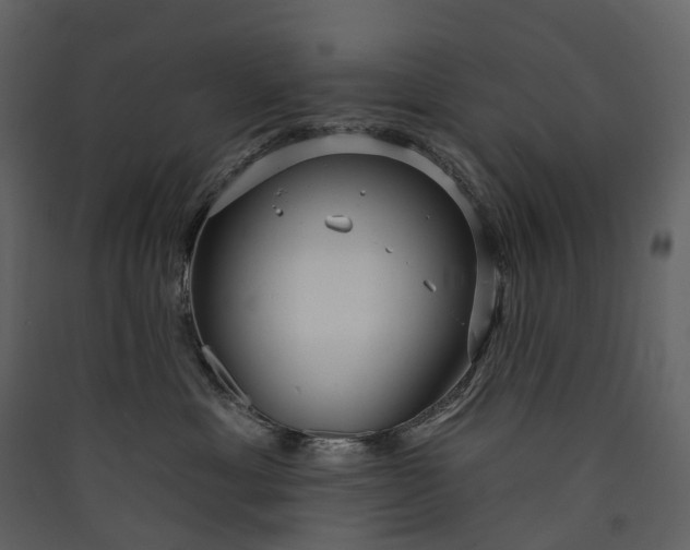 X0000089940429200707131458