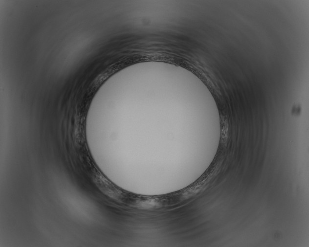 X0000089940430200707131458